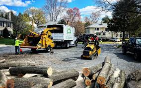 Best Lawn Disease Treatment  in Egon City, OR